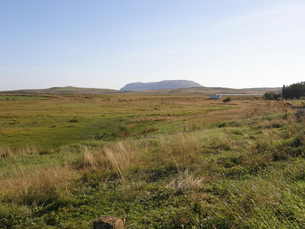 Cozy Cottage Near Geysir Reykholt  Zewnętrze zdjęcie